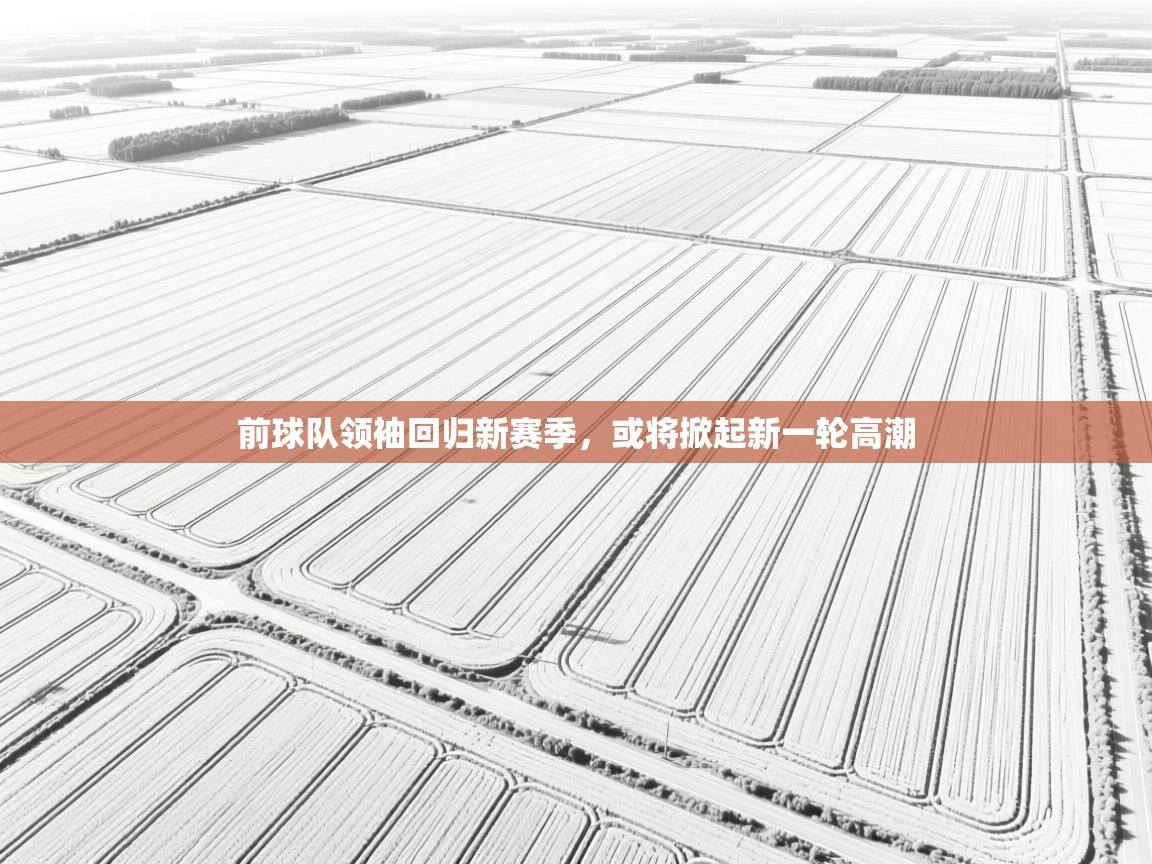 前球队领袖回归新赛季，或将掀起新一轮高潮  第1张